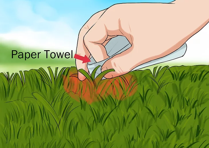 تمیز کردن با دستمال