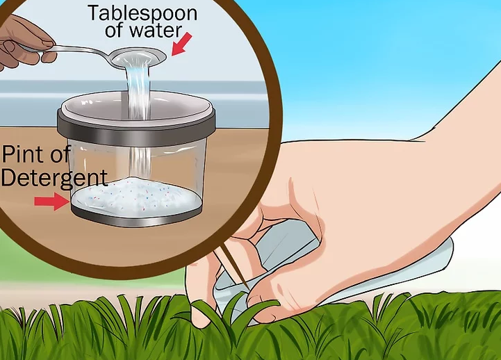 شستشو با مواد شوینده