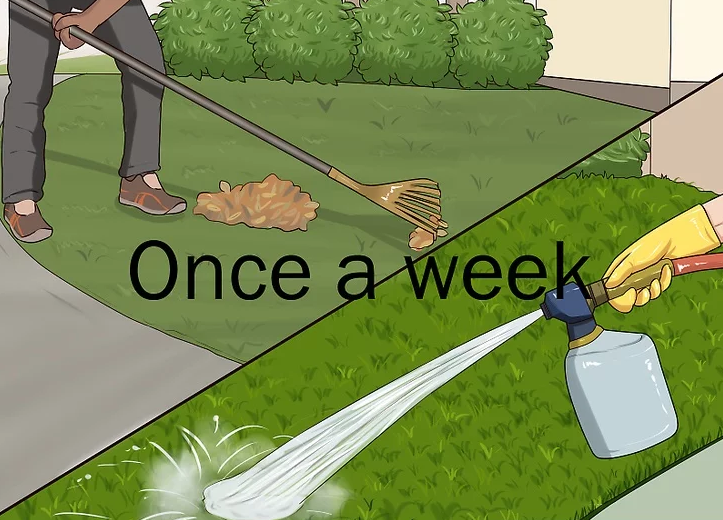 آب ریختن روی چمن