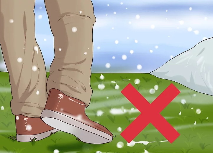 راه رفتن روی چمن