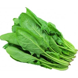 ریزسبزی ها 6