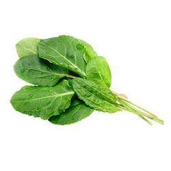 ریزسبزی ها 9