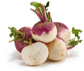 ریزسبزی ها 13