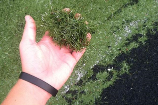 نخ چمن مصنوعی