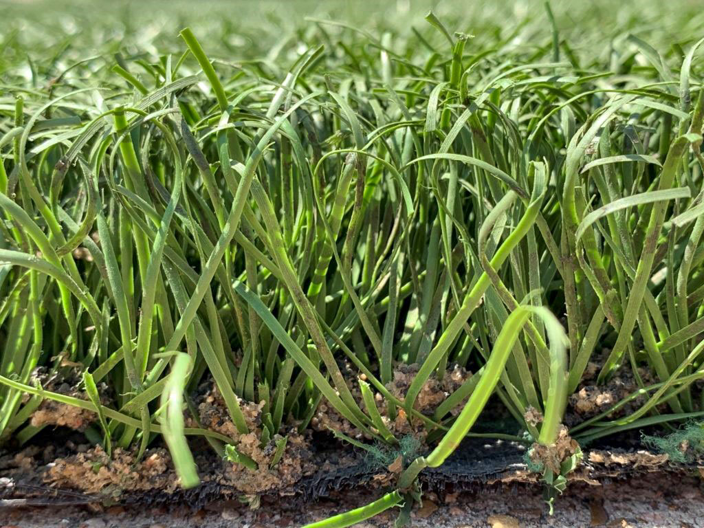 چمن مصنوعی دست دوم