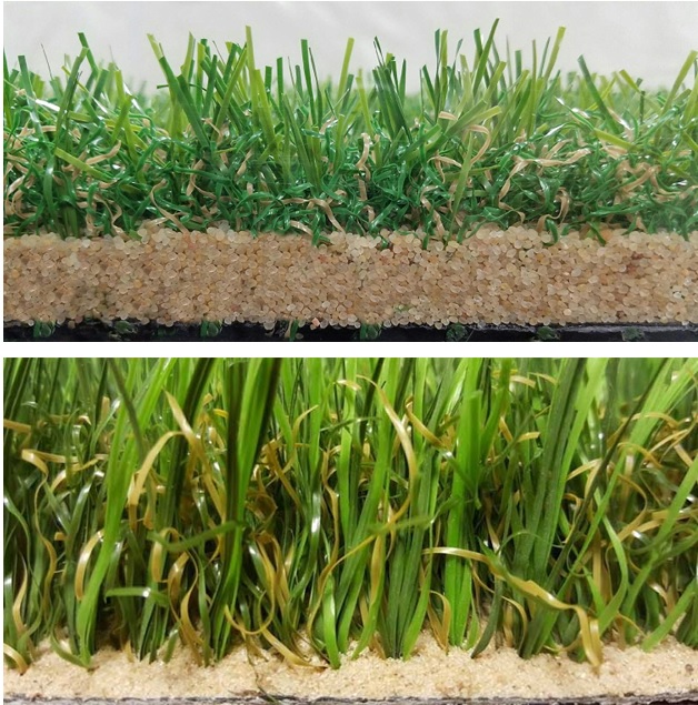 شن سیلیس در چمن مصنوعی