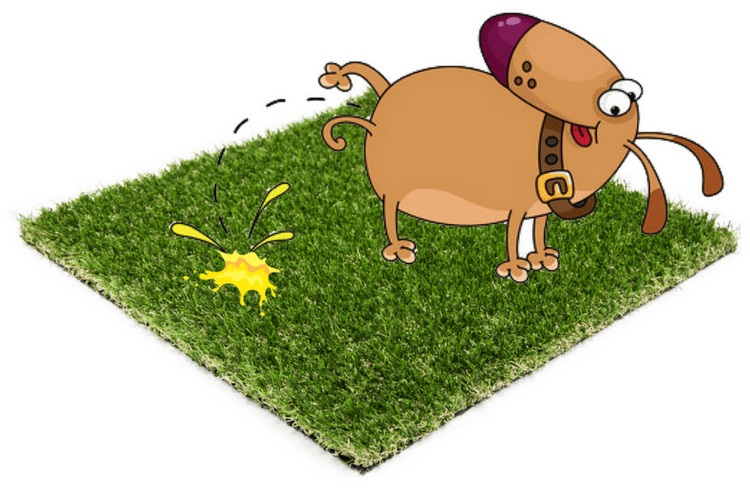 تاثیر فضولات سگ و گربه بر چمن مصنوعی