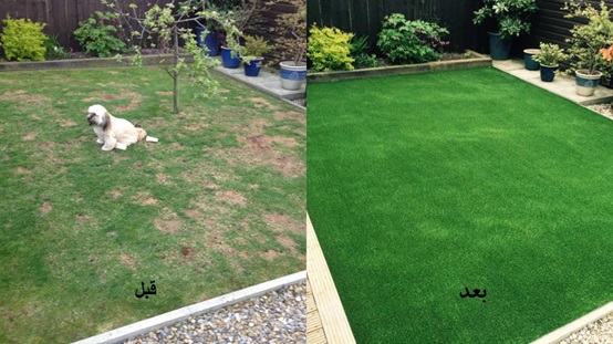 چمن مصنوعی برای حیوانات خانگی