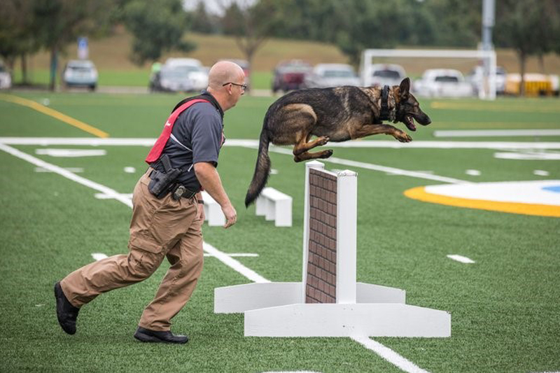 چمن مصنوعی در یک نگاه