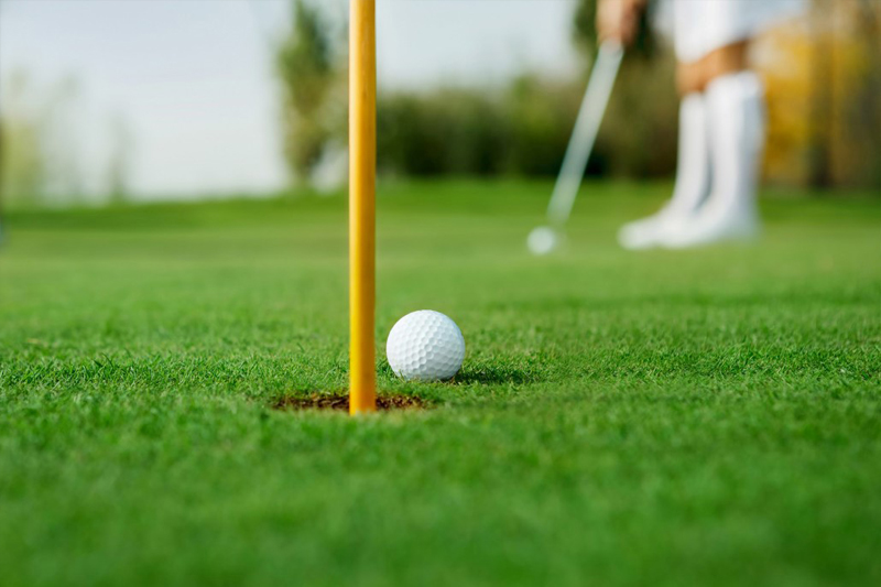 چمن مصنوعی در یک نگاه