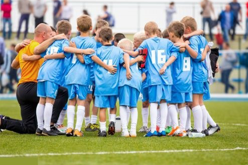 چمن مصنوعی در یک نگاه