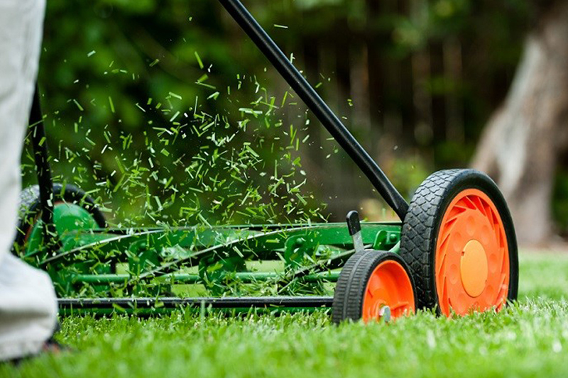 چمن مصنوعی در یک نگاه