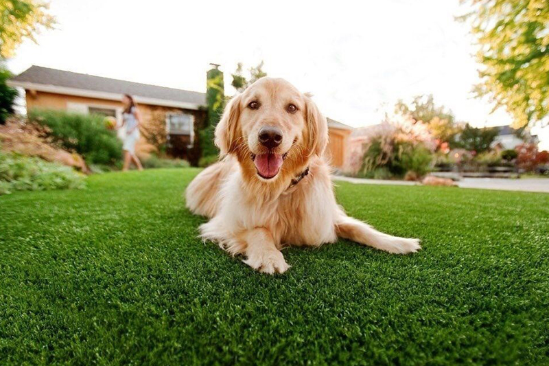 سرگرمی های خانگی با چمن مصنوعی