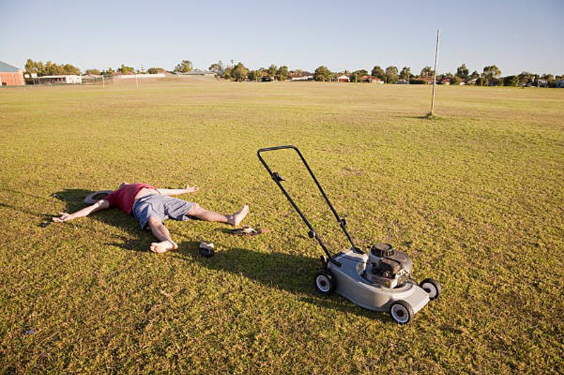 سرگرمی های خانگی با چمن مصنوعی