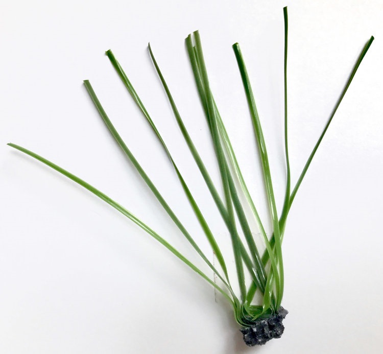 انواع چمن مصنوعی فوتبال