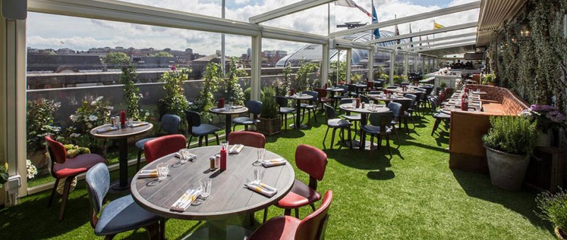 چمن مصنوعی پشت بام رستوران