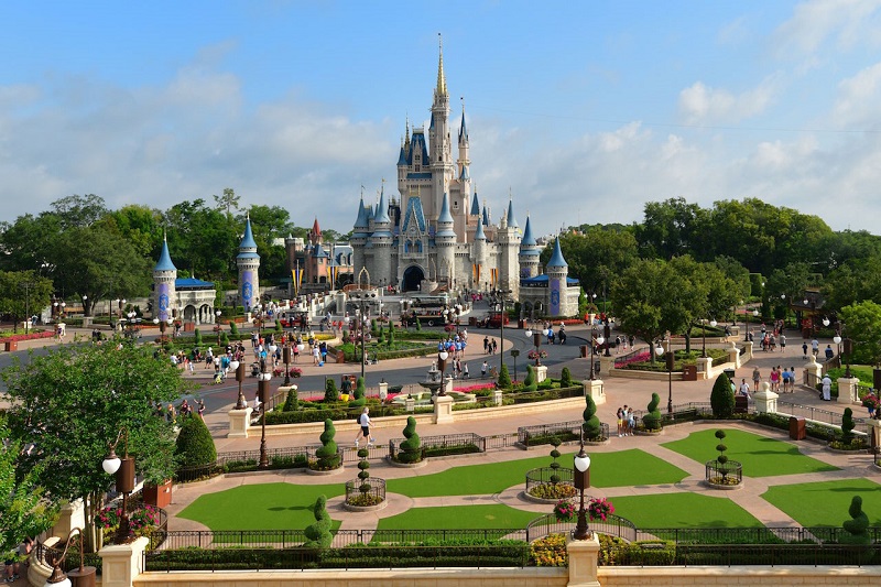 چمن مصنوعی در قصر سیندرلا