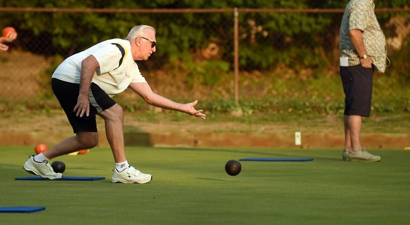چمن مصنوعی موکتی