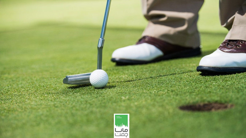 چمن موکتی یا موکت چمنی؛ کدام بهتر است؟!