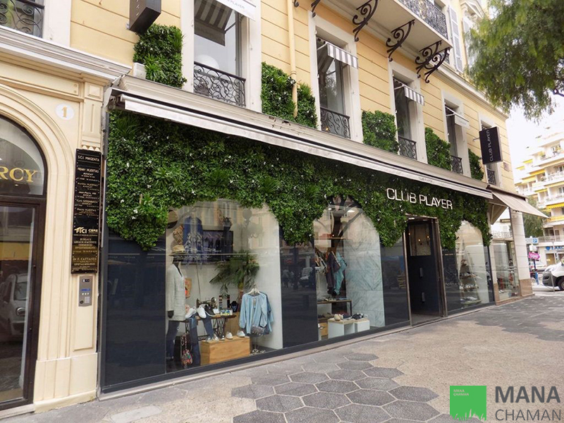 تزئین نمای بیرونی فروشگاه توسط دیوار سبز مصنوعی