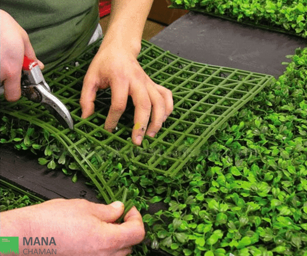 بُرش پنل دیوار سبز مصنوعی به کمک قیچی باغبانی