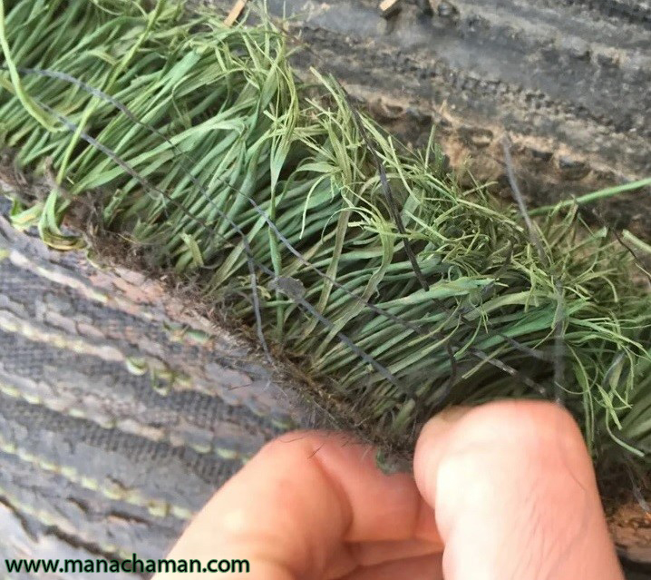 چمن مصنوعی دست دوم و ارزیابی جایگاه آن 3