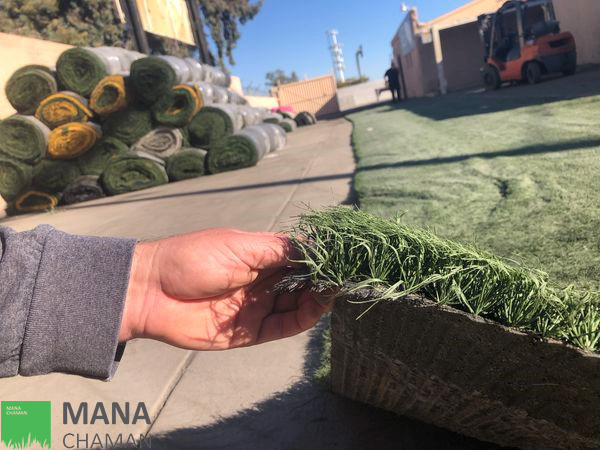 چمن مصنوعی دست دوم و ارزیابی جایگاه آن 9