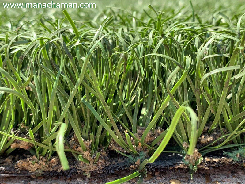 چمن مصنوعی دست دوم و ارزیابی جایگاه آن 14