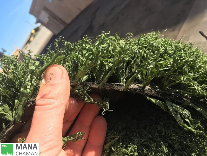 چمن مصنوعی دست دوم و ارزیابی جایگاه آن 17