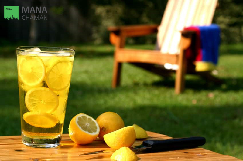  لذت استفاده از چمن مصنوعی در حیاط منزل