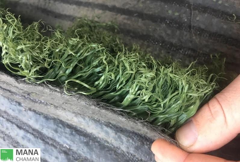 چمن مصنوعی دست دوم و ارزیابی جایگاه آن 22