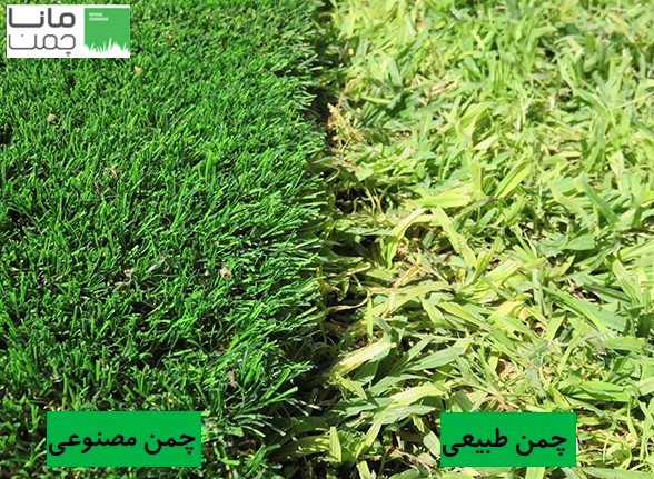 تفاوت چمن طبیعی با چمن مصنوعی