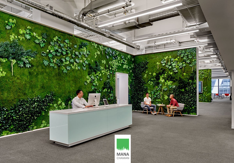 ترکیب چمن مصنوعی دیواری و گرینوال در فضای اداری