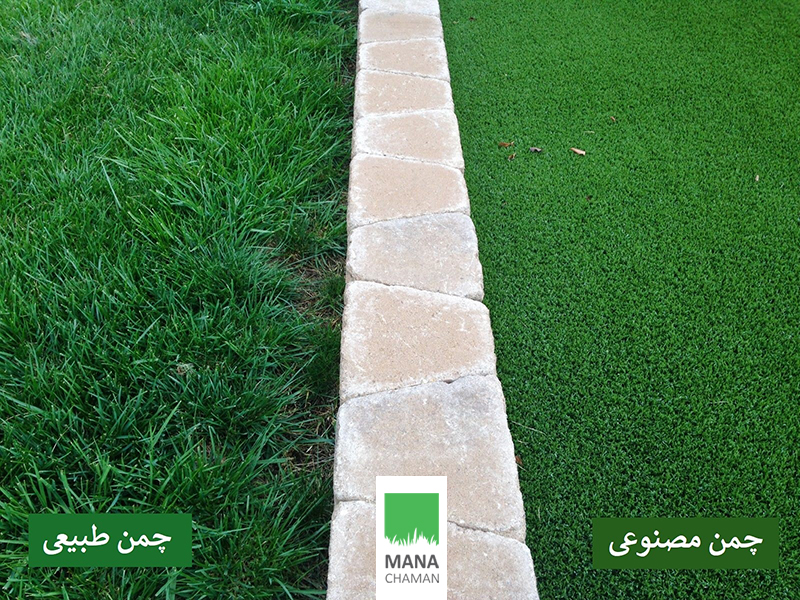 چمن مصنوعی سطح هموار و مناسب تری برای بازی دارد