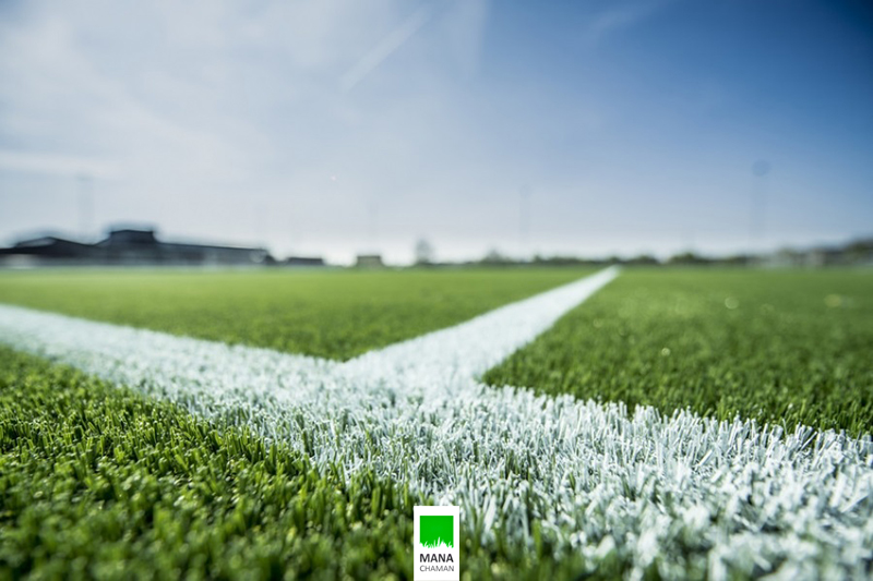 زمین چند مصنوعی چند منظوره