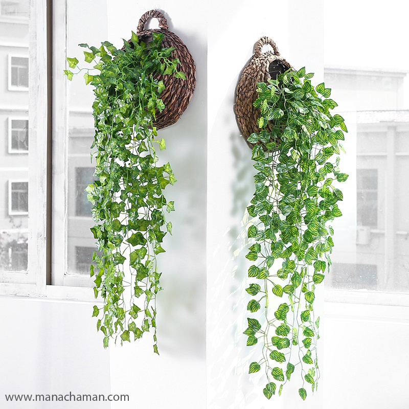 پیچک مصنوعی، یک محصول تزئینی آشنا برای مردم