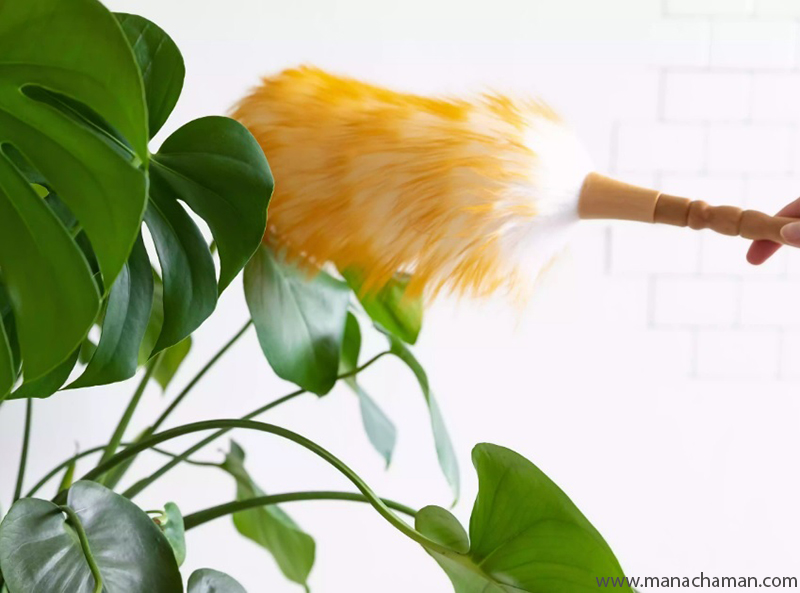 گردگیری گل مصنوعی با توده پَر