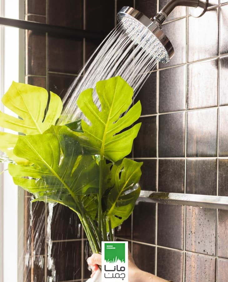 شست و شوی گیاه مصنوعی زیر دوش آب