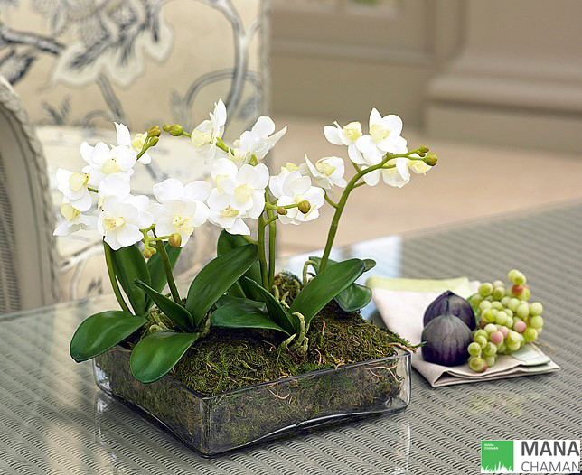 ترفندهایی برای ایجاد ظاهر طبیعی در گل مصنوعی 1