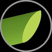 نکاتی جالب درباره چمن مصنوعی 2