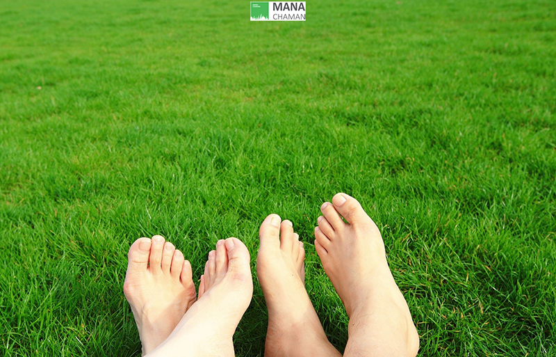 نکاتی جالب درباره چمن مصنوعی 11