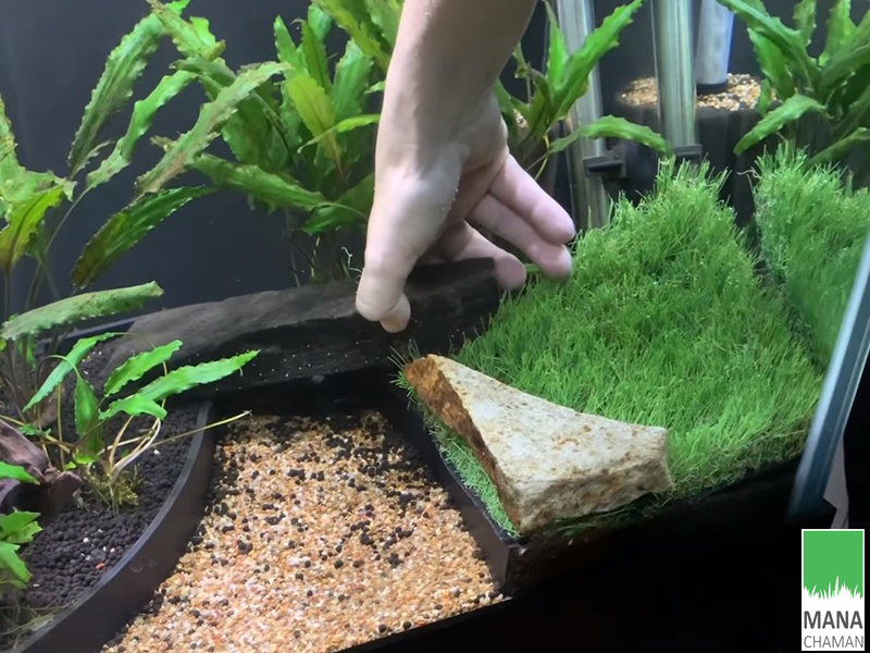 چمن مصنوعی آکواریوم 3
