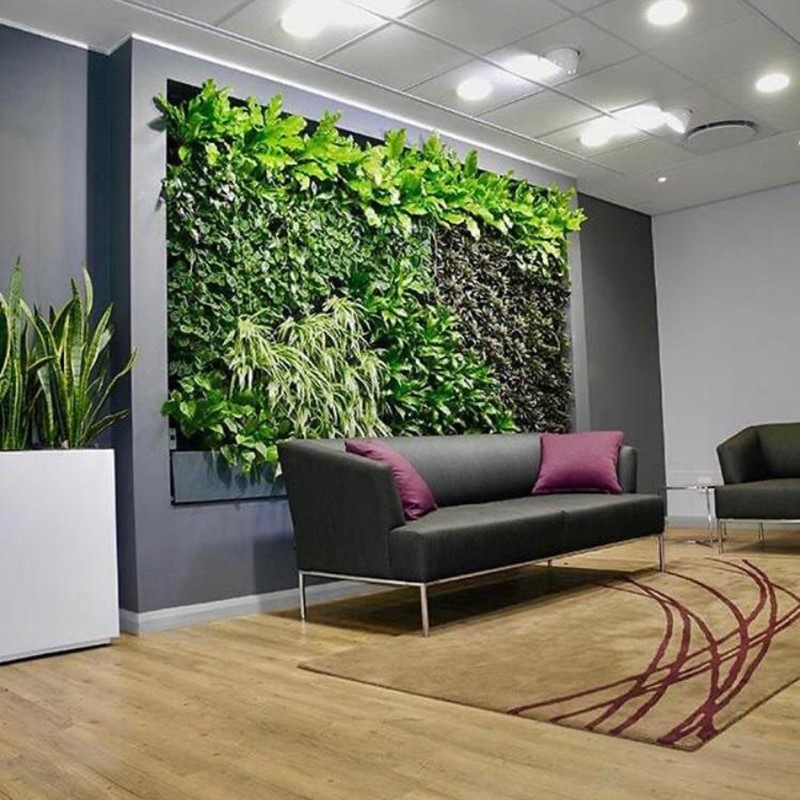 8 مکان ایده ال برای دیوارسبز 3