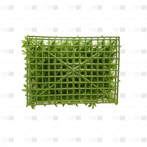 دیوار سبز آناناسی 100 برگ ابعاد 30*40 -2