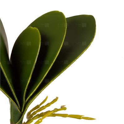 گیاه مصنوعی مدل برگ ارکیده
