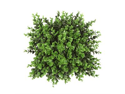 دیوار سبز مصنوعی مدل شمشاد