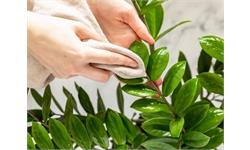 روش تمیز کردن گل مصنوعی