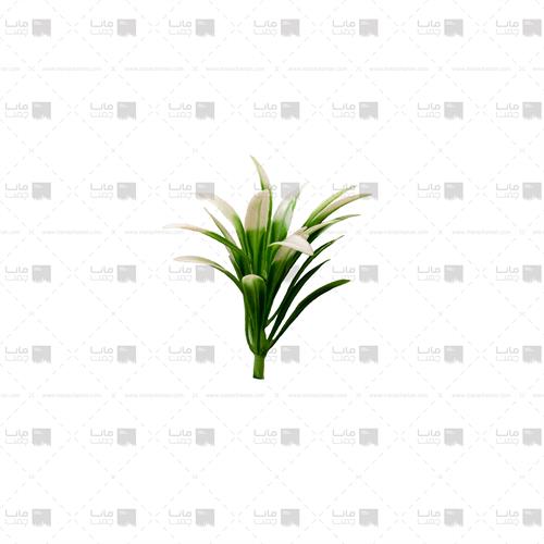 دیوار سبز آناناسی 100 برگ رنگ سبز و سفید ابعاد 30*40