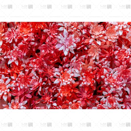 دیوار سبز خورشیدی رنگ نارنجی و سفید 3