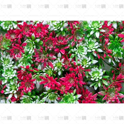 دیوار سبز خورشیدی رنگ سبز، سفید و قرمز3